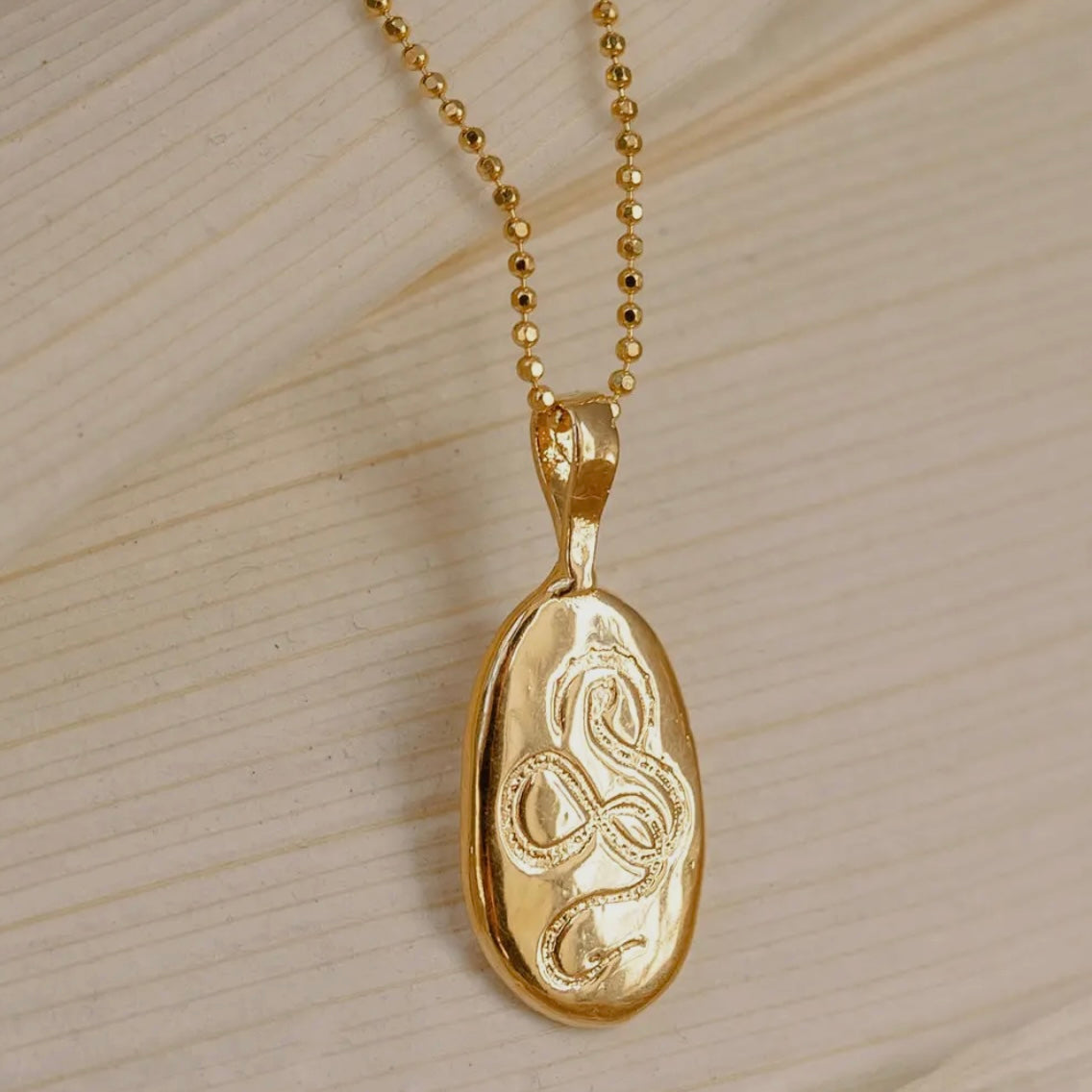 Dea Dia • Serpent Rising Snake Pendant Necklace • Brass
