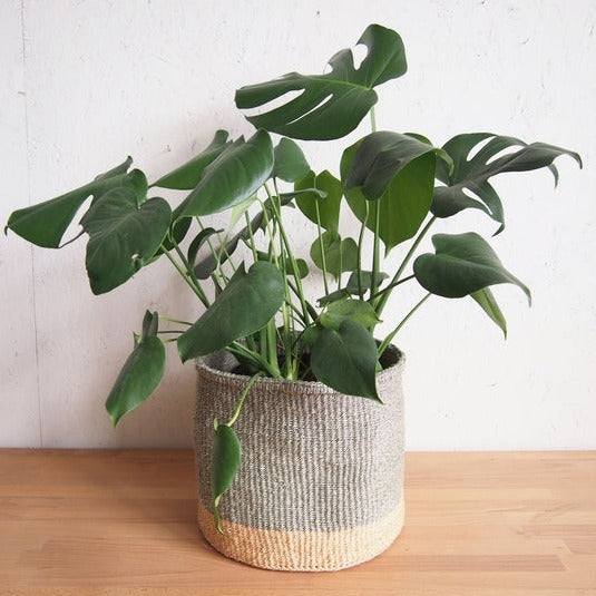 Fair Trade Handmade Woven Basket • Limestone • Large