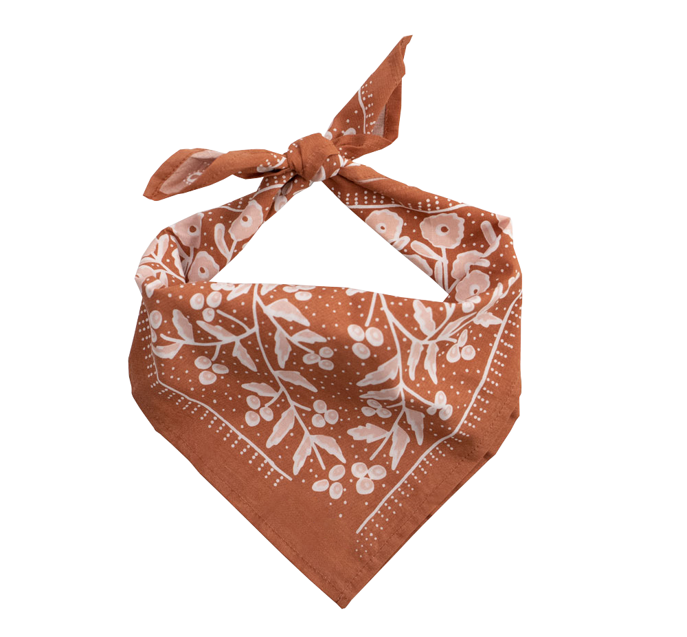 Cotton Bandana • No. 058 Terra • Soft Brown