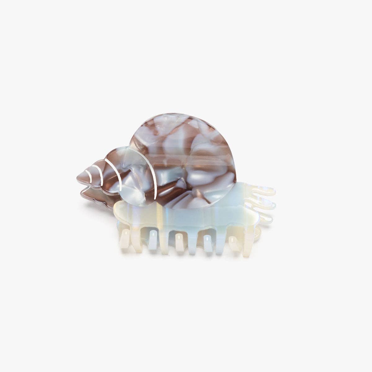 Sea Snail Shell Hair Claw • Blue Whelk