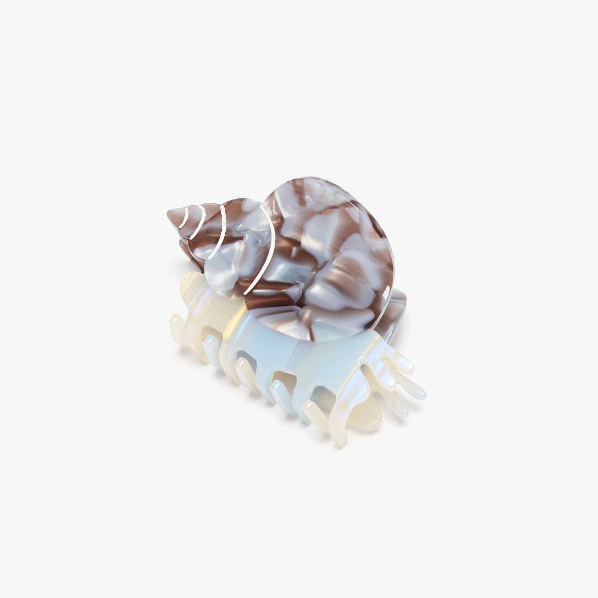 Sea Snail Shell Hair Claw • Blue Whelk