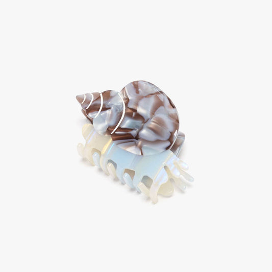 Sea Snail Shell Hair Claw • Blue Whelk