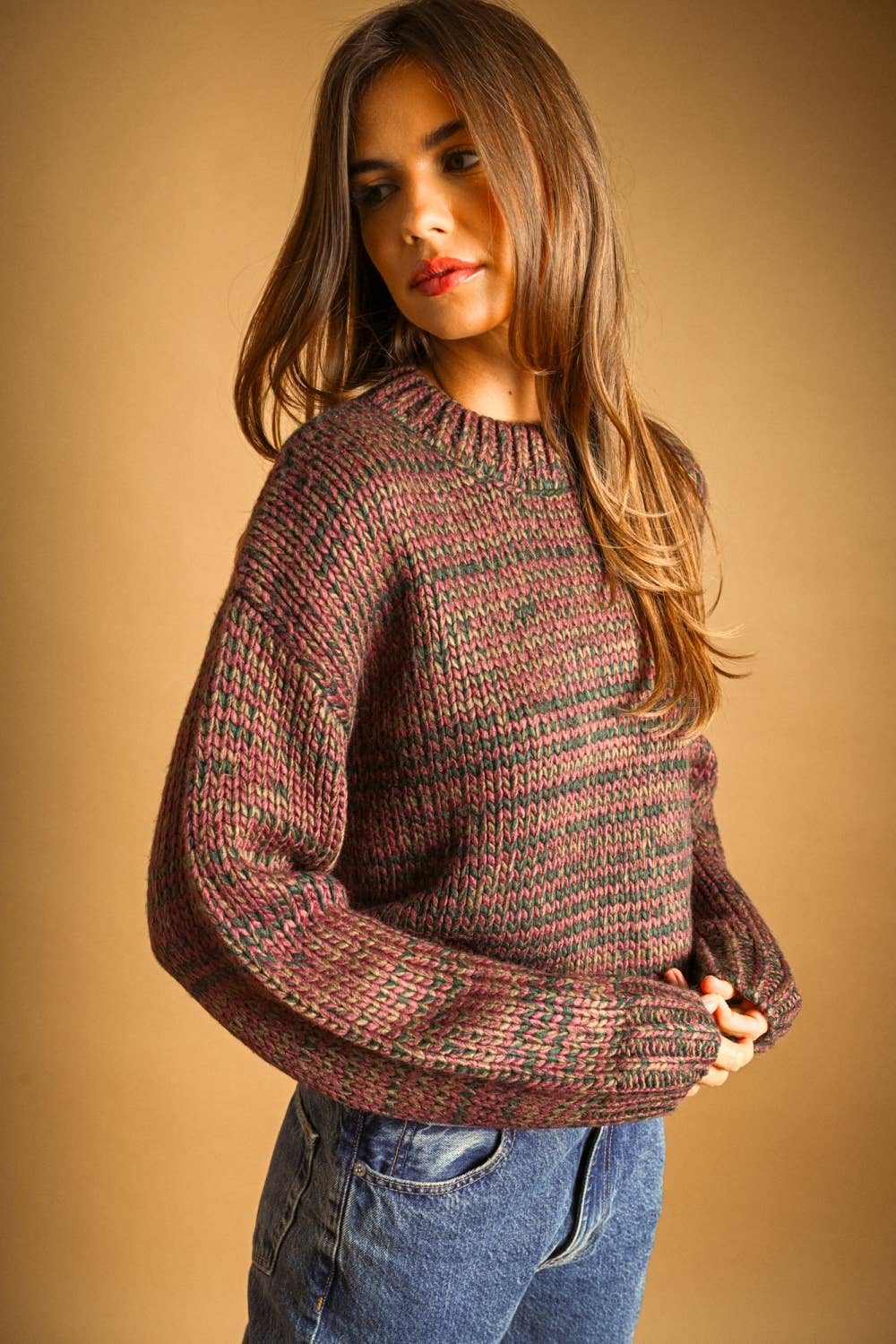 Multi Colored Crop Pullover Sweater • Rosewood