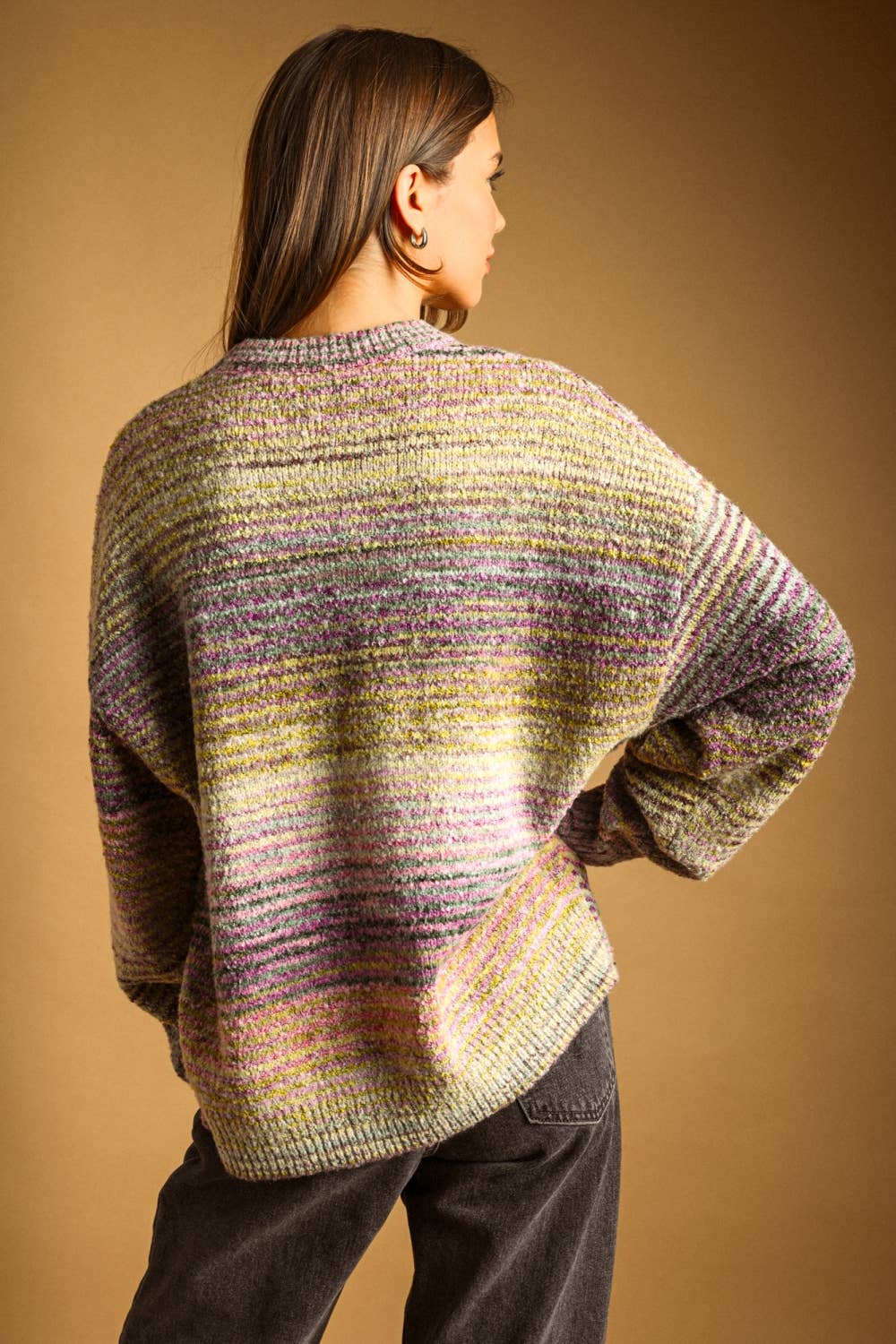 Multi Color Pullover Sweater • Lavender & Lime