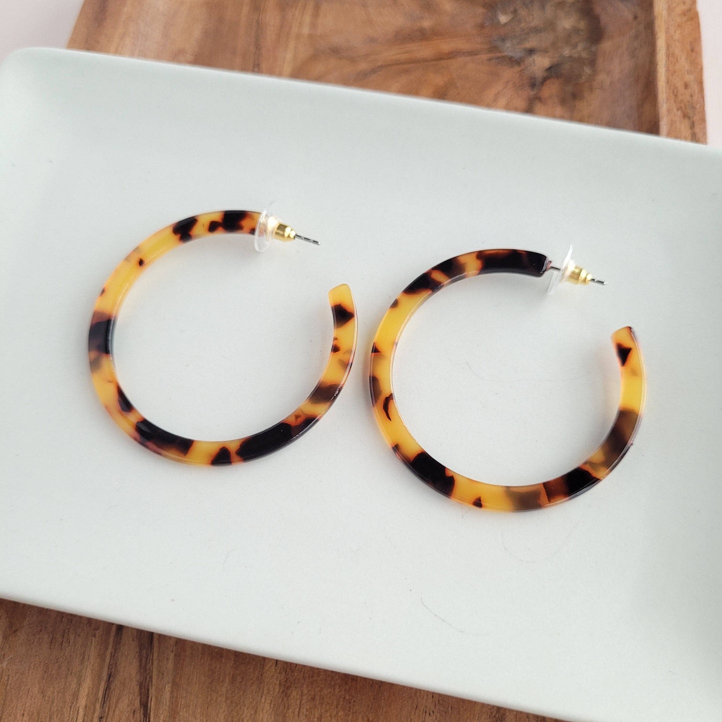 Cameron Hoops • Tortoise
