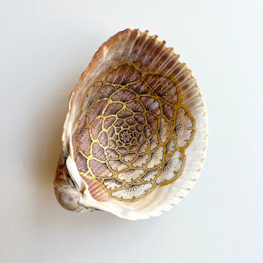Shana Heller • Seashell Mandala Art