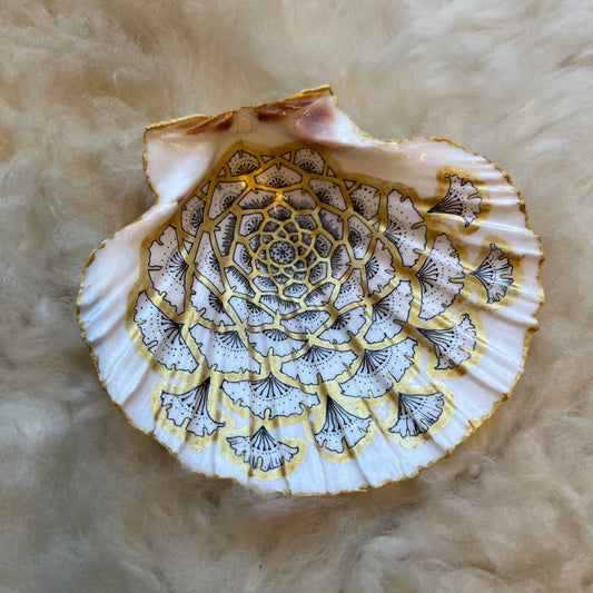 Shana Heller • Seashell Mandala Art