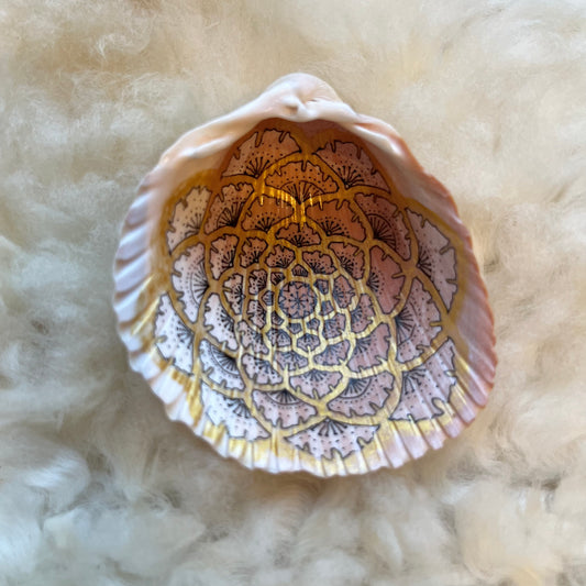 Shana Heller • Seashell Mandala Art • Small