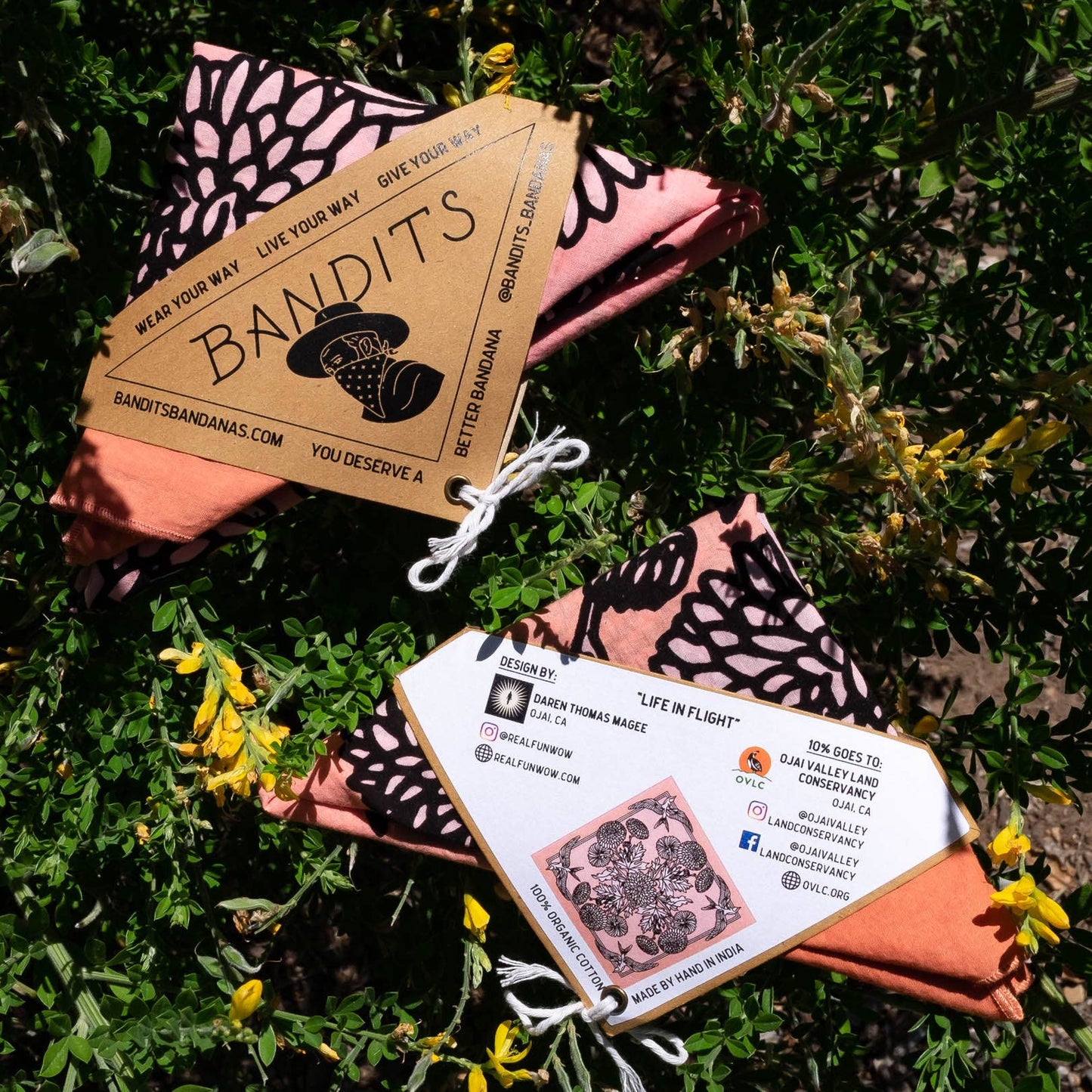 Organic Cotton Bandana • Life In Flight • Orange & Pink