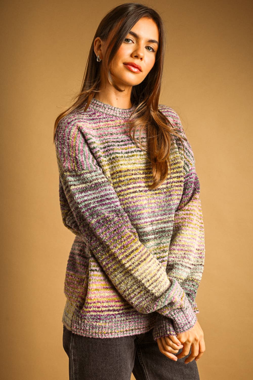 Multi Color Pullover Sweater • Lavender & Lime