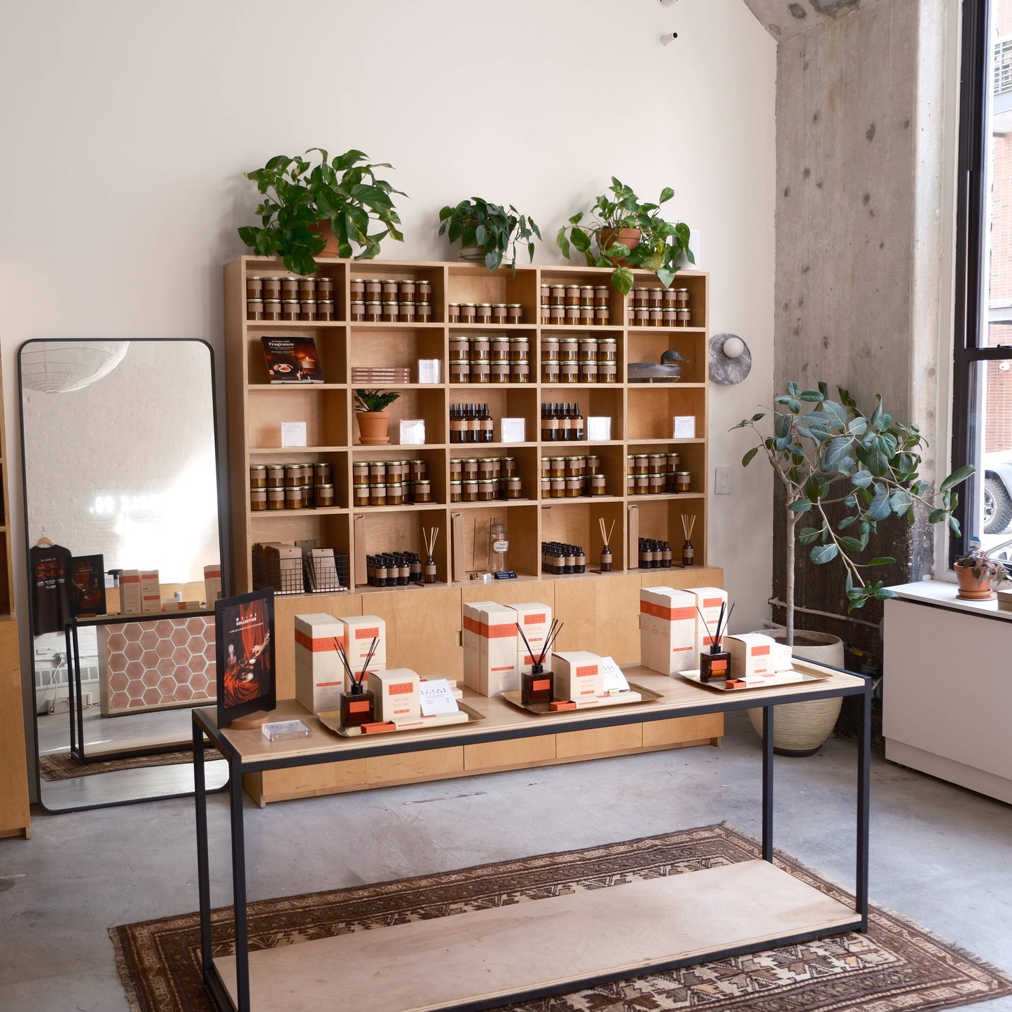 P.F. Candles • Wild Herb Tonic