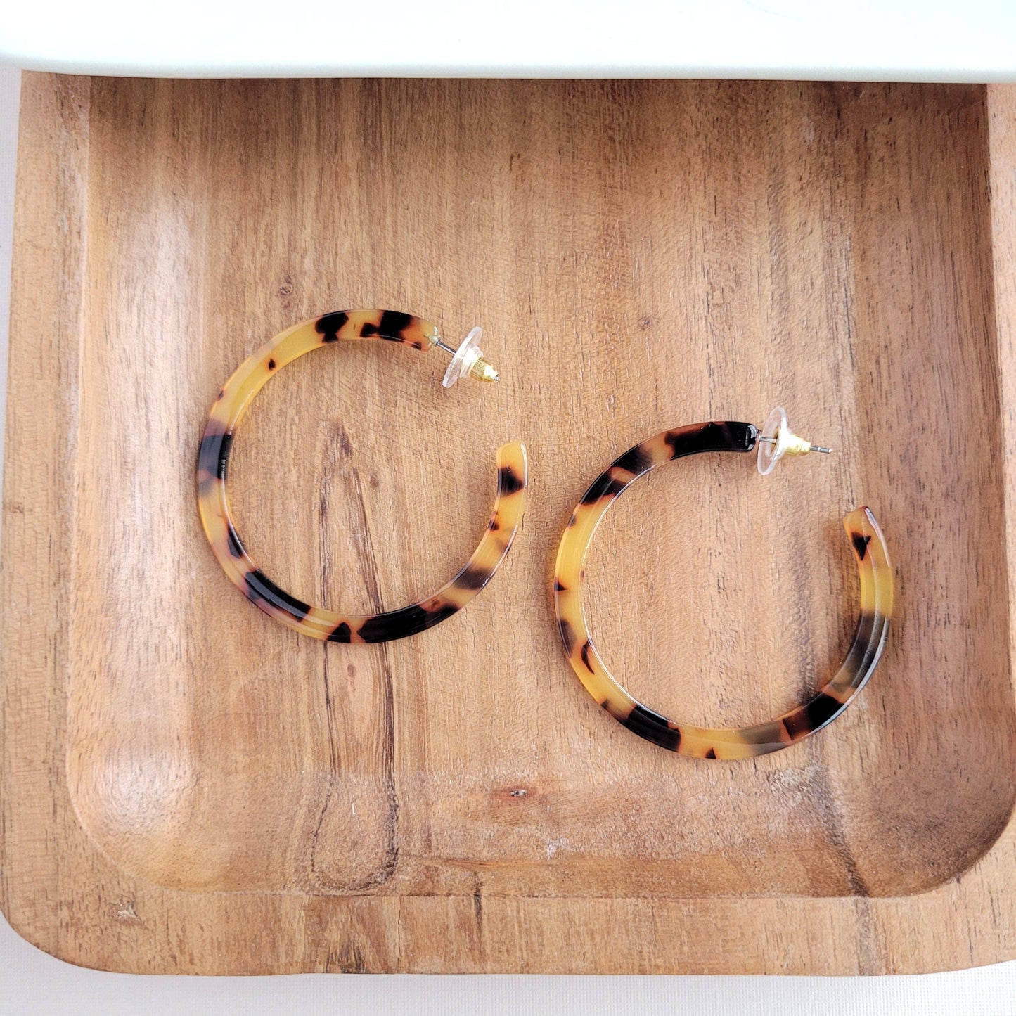 Cameron Hoops • Tortoise