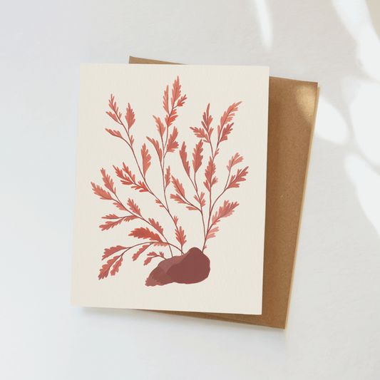 Elana Gabrielle • Seaweed Notecard