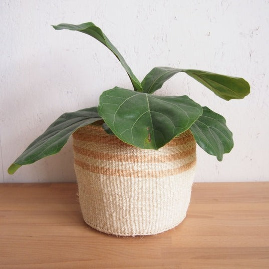Fair Trade Handmade Woven Basket • Barley • Medium