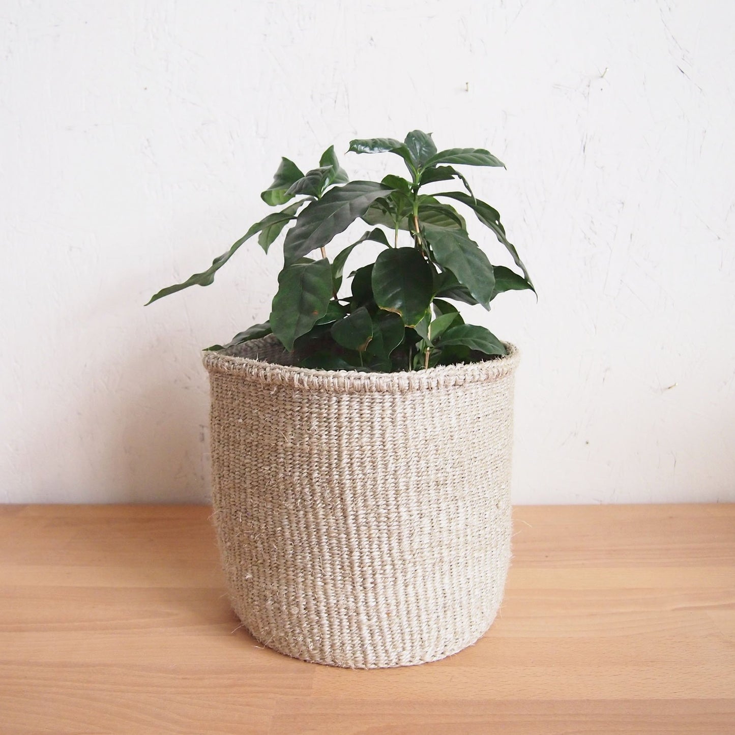 Fair Trade Handmade Woven Basket Gray Color
